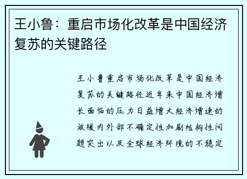王小鲁：重启市场化改革是中国经济复苏的关键路径