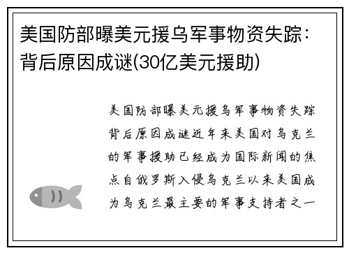 美国防部曝美元援乌军事物资失踪：背后原因成谜(30亿美元援助)