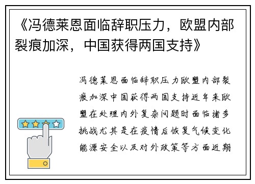 《冯德莱恩面临辞职压力，欧盟内部裂痕加深，中国获得两国支持》