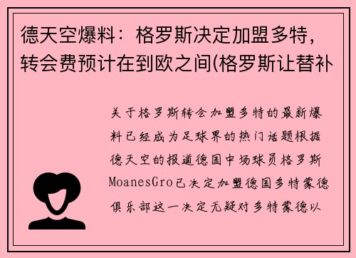 德天空爆料：格罗斯决定加盟多特，转会费预计在到欧之间(格罗斯让替补)