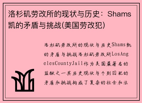 洛杉矶劳改所的现状与历史：Shams 凯的矛盾与挑战(美国劳改犯)