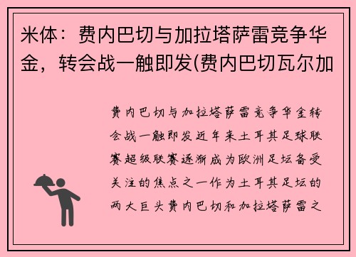 米体：费内巴切与加拉塔萨雷竞争华金，转会战一触即发(费内巴切瓦尔加斯)