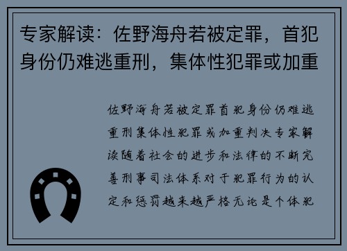 专家解读：佐野海舟若被定罪，首犯身份仍难逃重刑，集体性犯罪或加重判决