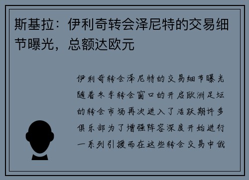 斯基拉：伊利奇转会泽尼特的交易细节曝光，总额达欧元